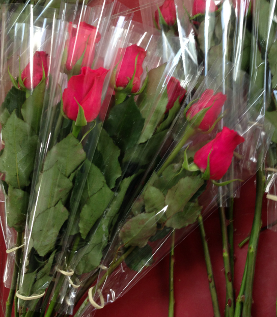 Box of 200 Roses Individually Wrapped 16″ Mr Roses Farms